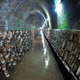 Image for article titled Why a Small Pennsylvania Town Is the Mushroom Capital of the World